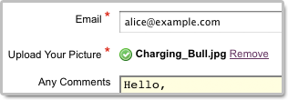 Form with File Upload Field